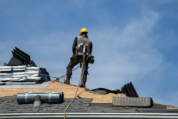 Professional Roof Replacement technician working in Steinhatchee, FL